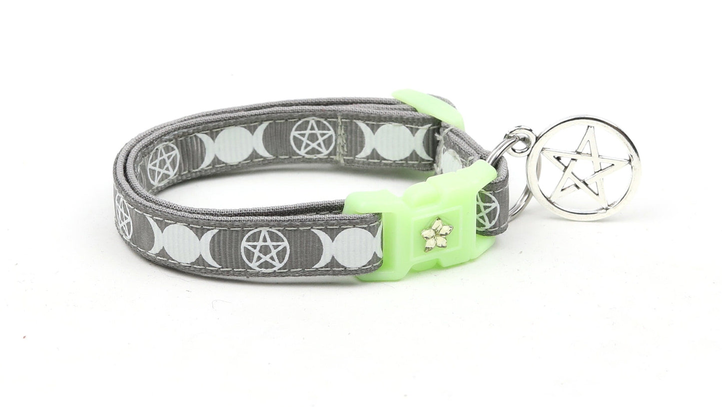 Witch's Familiar on Silver Cat Collar-1
