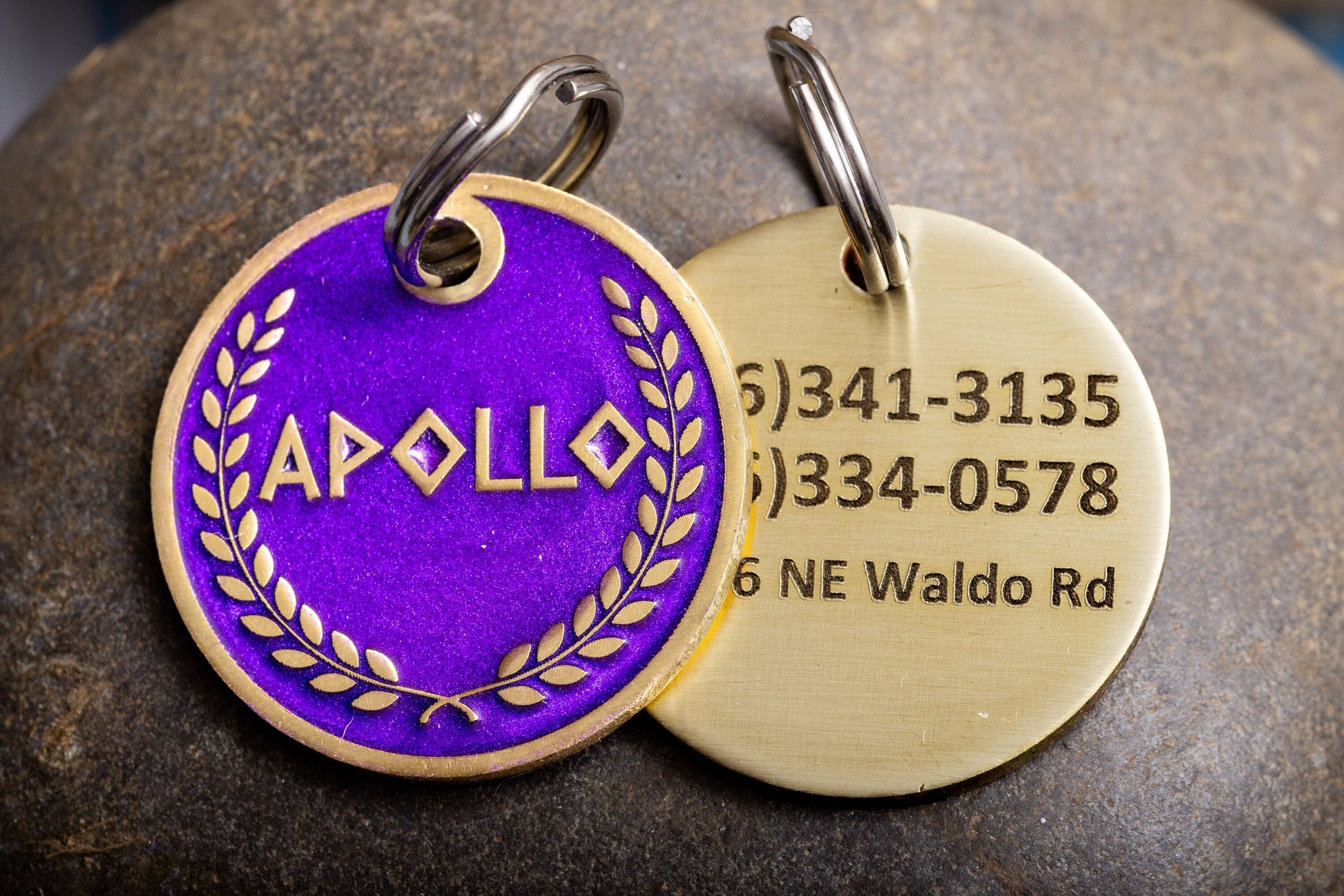 Engraved Greek Laurel Pet ID Tag - Cat or Dog Royal Purple and Gold Name Tag - Greek God Pet ID Tag-0